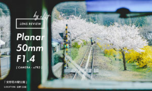 「Planar 50mm F1.4 SEL50F14Z」で撮る”安野(広島) 花の駅公園” | 桜と電車と花まつり